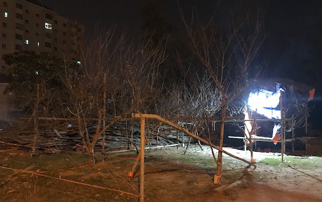 Trắng đêm ngồi co ro đốt củi sưởi ấm để canh đào, quất, hoa Tết